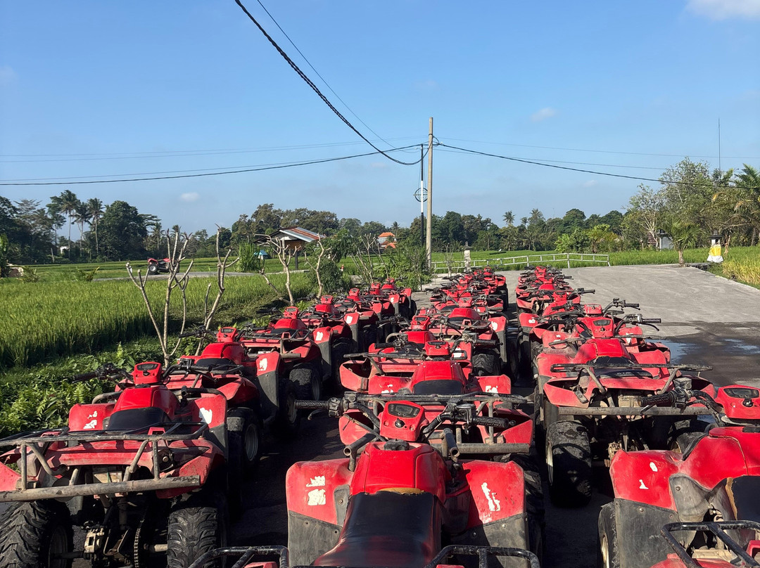 Ubud Quad Bike Adventure-乌布必去景点