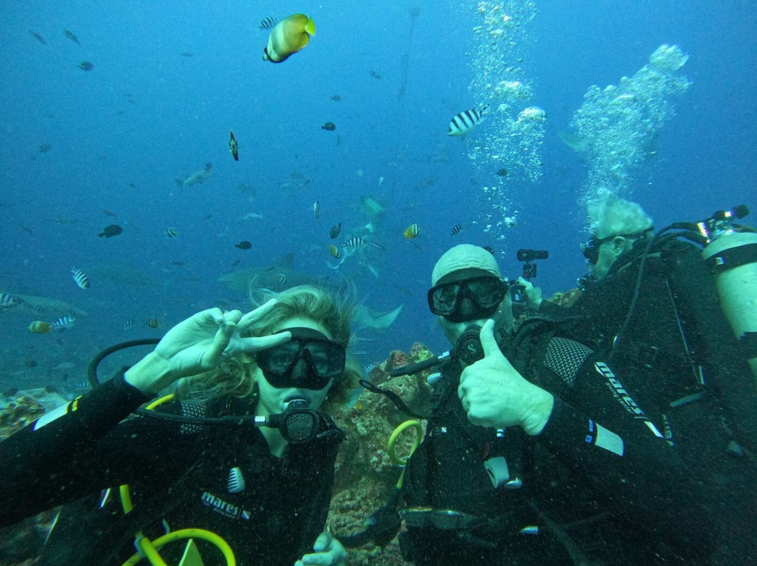 Beqa Adventure Divers-太平洋港必去景点