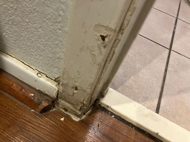 12橡树酒店-客卧