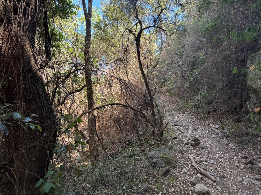 CataDuro Adventures-Castell-Platja d'Aro必去景点
