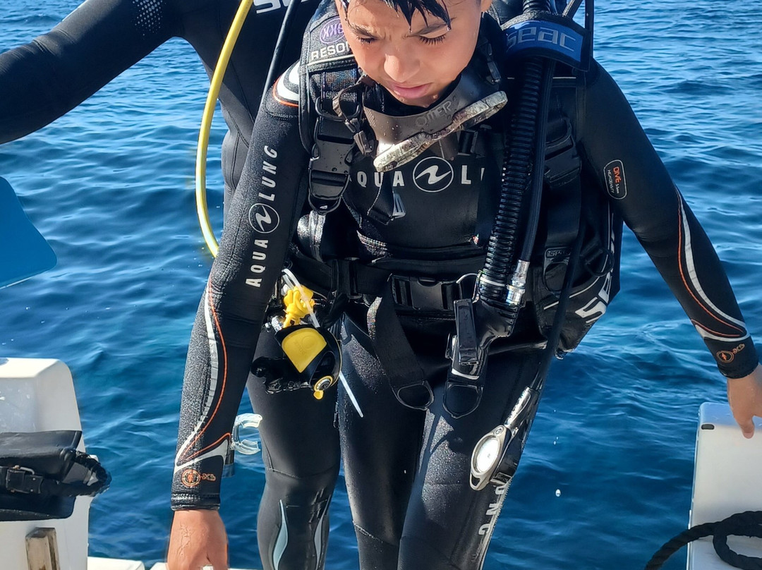 Abyssos Diving School & Snorkeling-Capo Comino必去景点