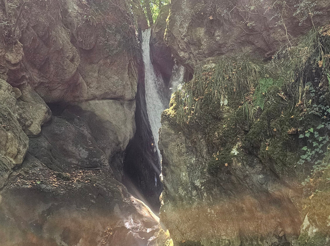 Cascata Del Demonio-Rotonda必去景点