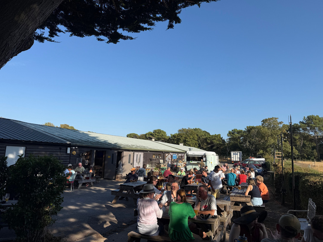 Brew Forest
