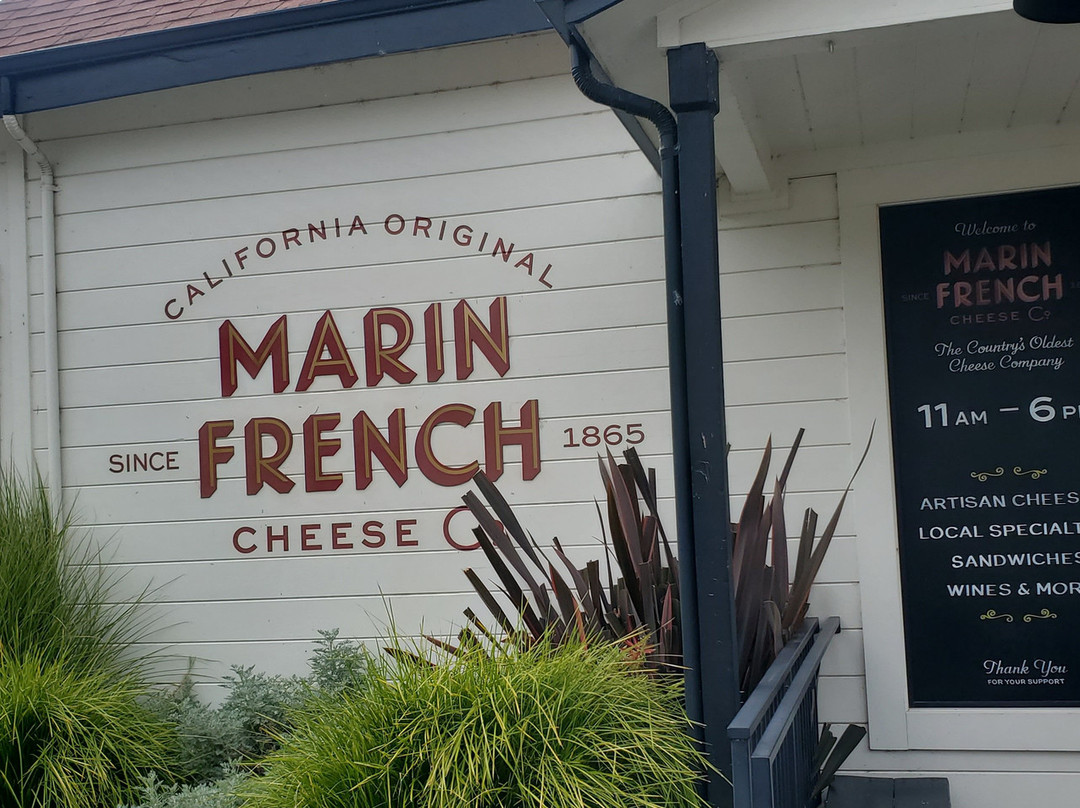 Marin French Cheese Company-佩塔卢马必去景点