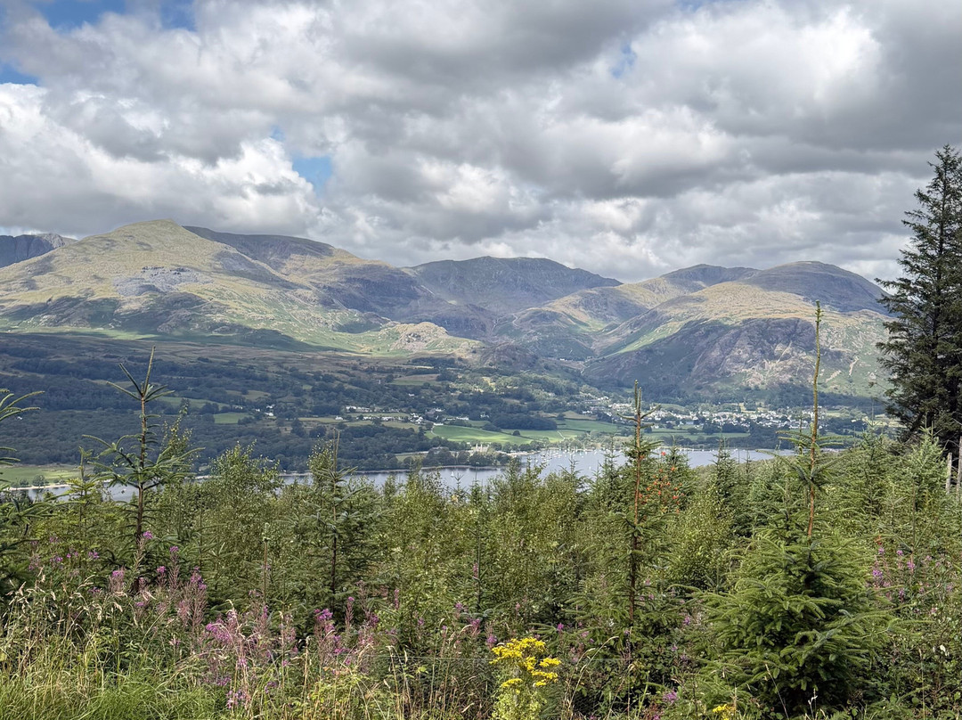 Grizedale Forest-Hawkshead必去景点