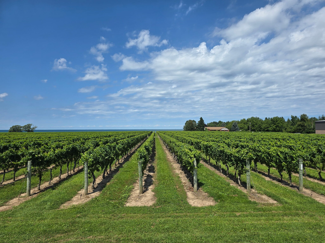 Konzelmann Estate Winery-滨湖尼亚加拉必去景点