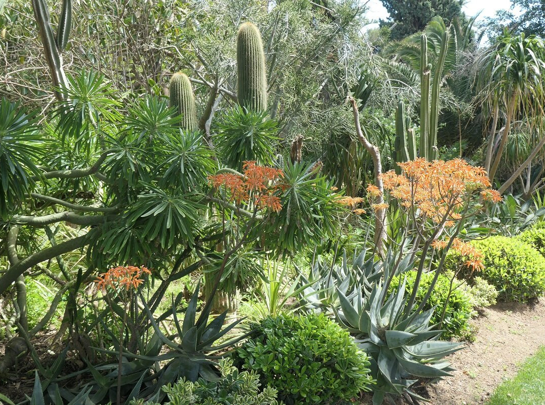 Parque Genovés-加的斯市必去景点