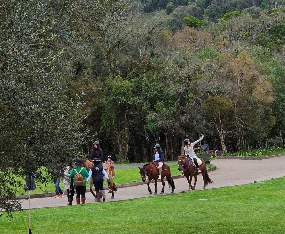 Parque Olivas de Gramado-格拉玛多必去景点