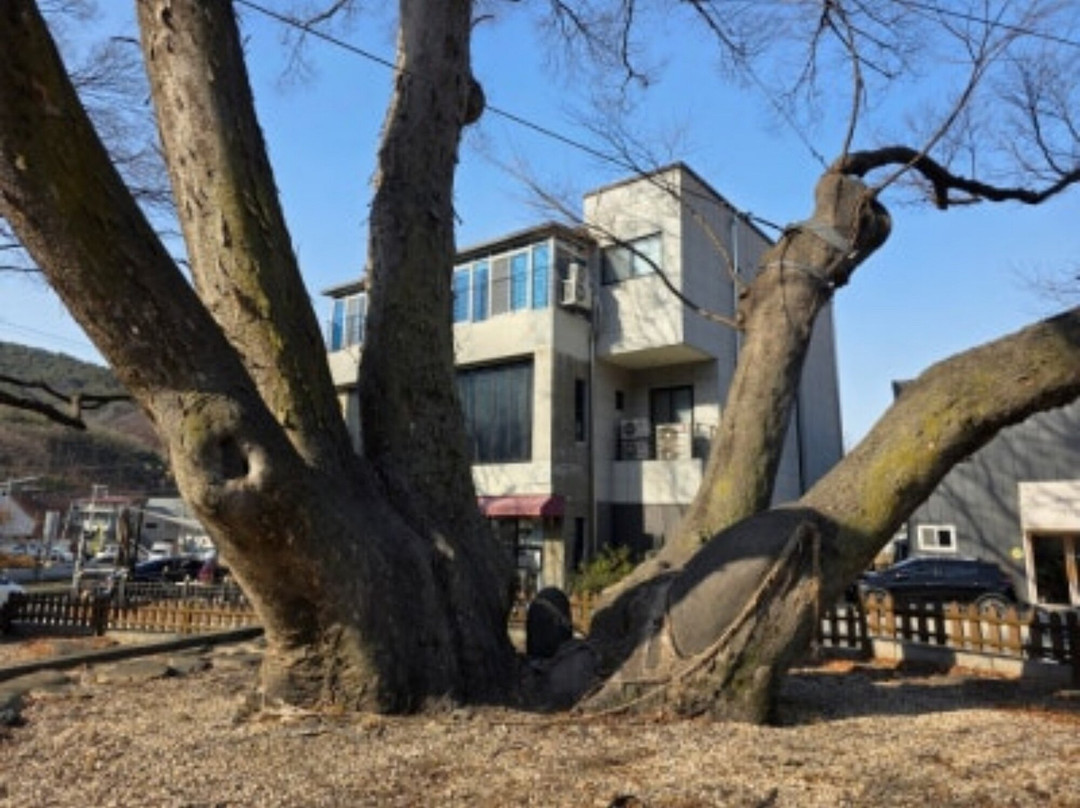 Wolgwang Waterfront Park-大邱必去景点