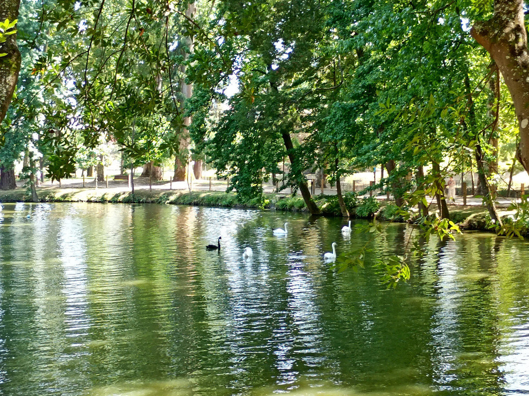 Parque das Termas-Vizela必去景点