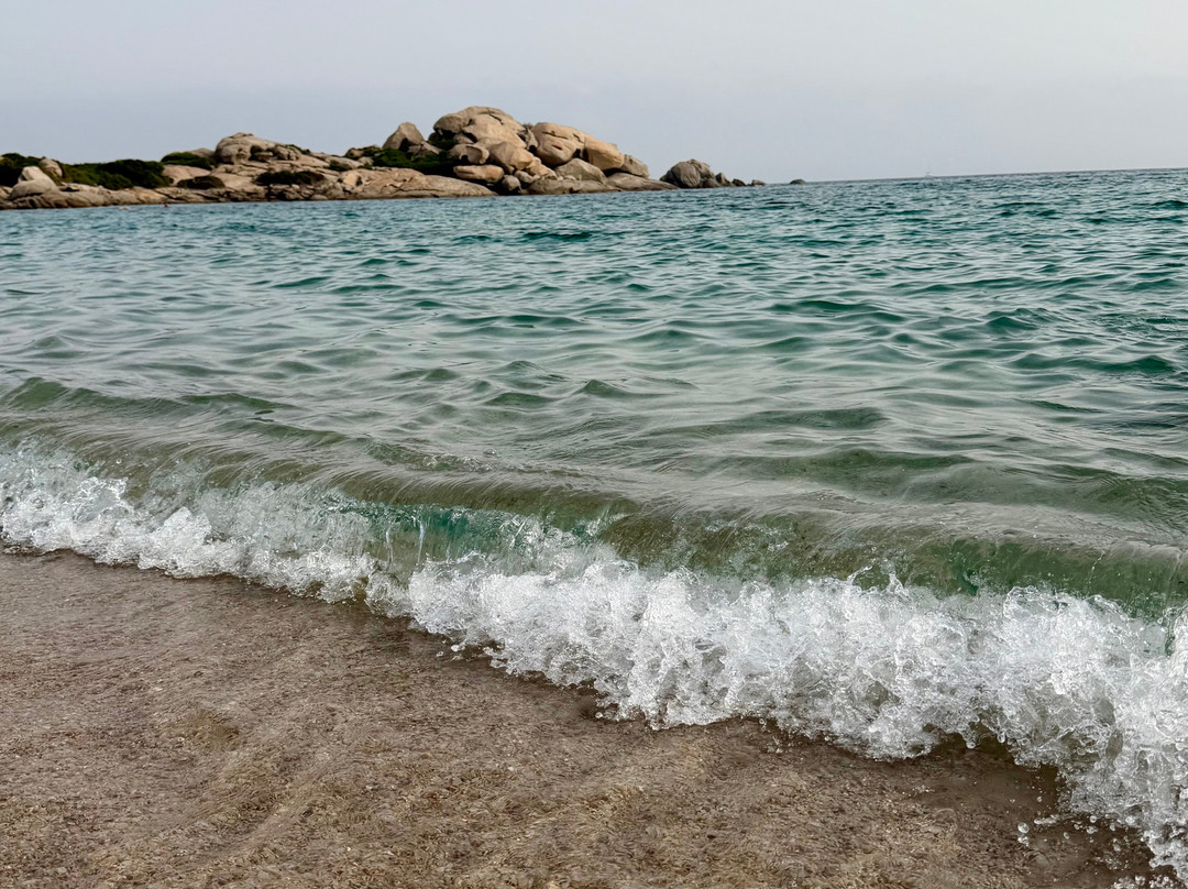Spiaggia La Licciola-圣特雷莎加卢拉必去景点