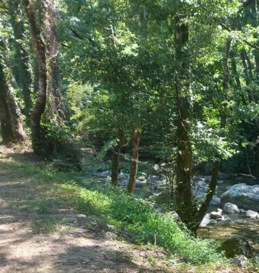 Bosco Magnano - Torrente Peschiera-San Severino Lucano必去景点