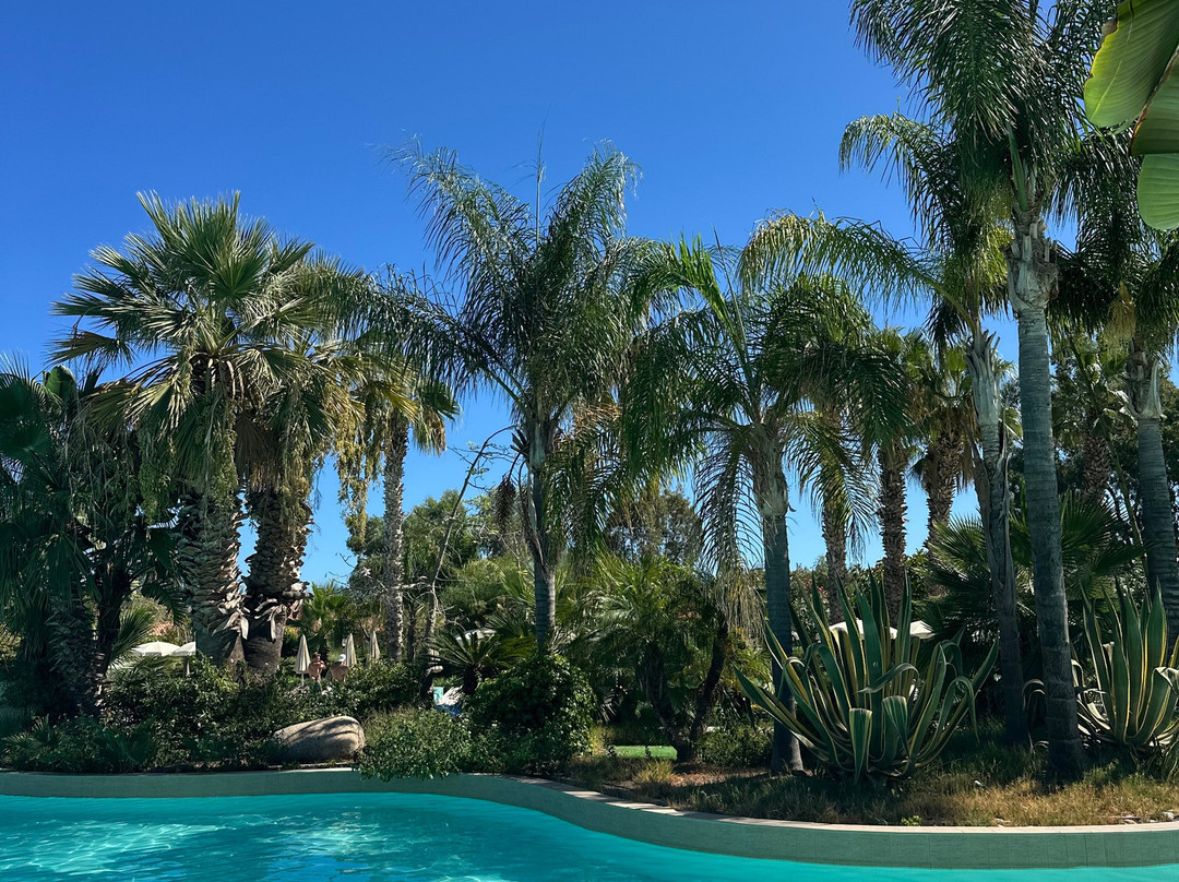 Acacia Resort Vacation and Style