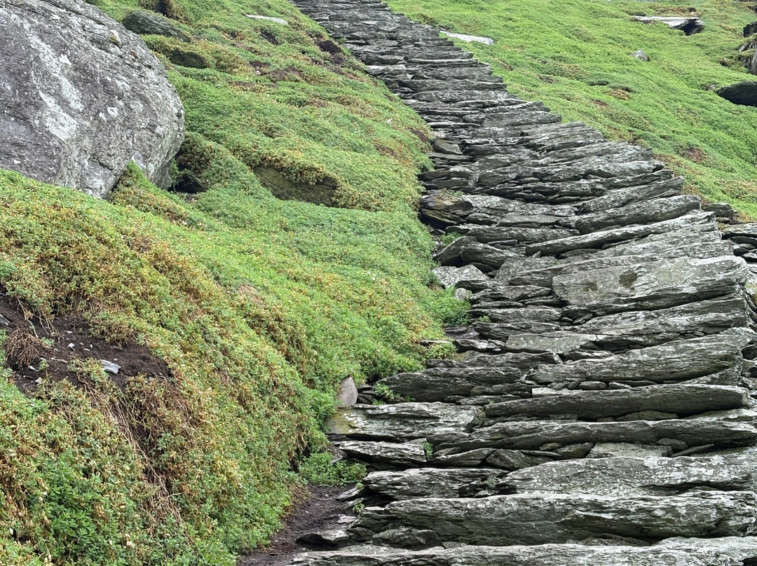 Skellig Coast Adventures-Portmagee必去景点