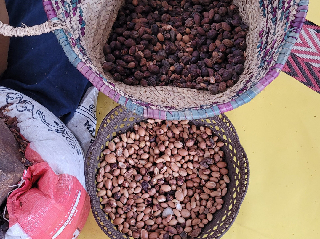 Cooperative Marjana (ARGAN OIL)-索维拉必去景点