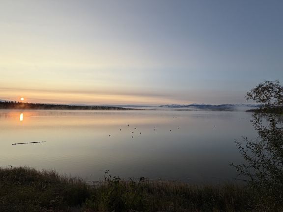 Willow Lake B&B-酒店景观
