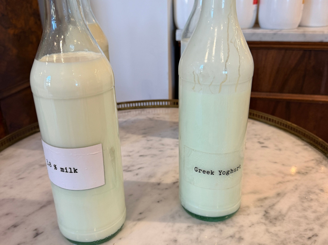 里瓦赫瓦尔游艇海港酒店主图