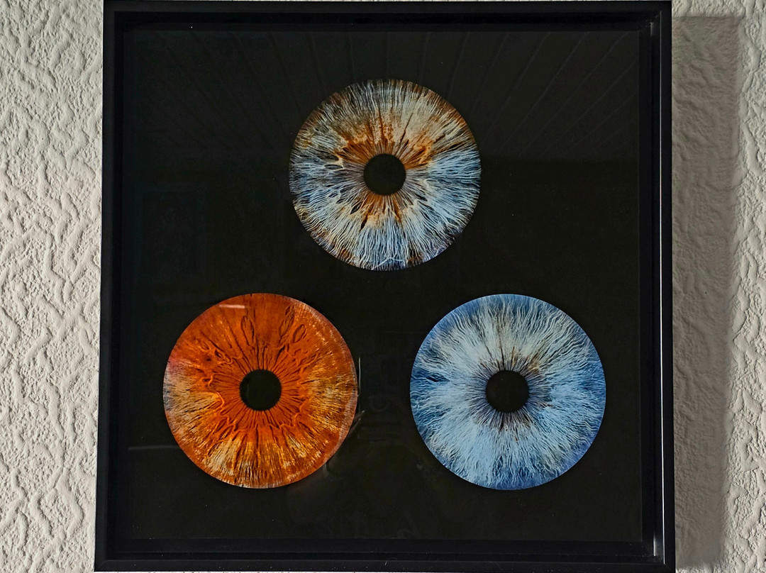 Iris Galerie Maastricht