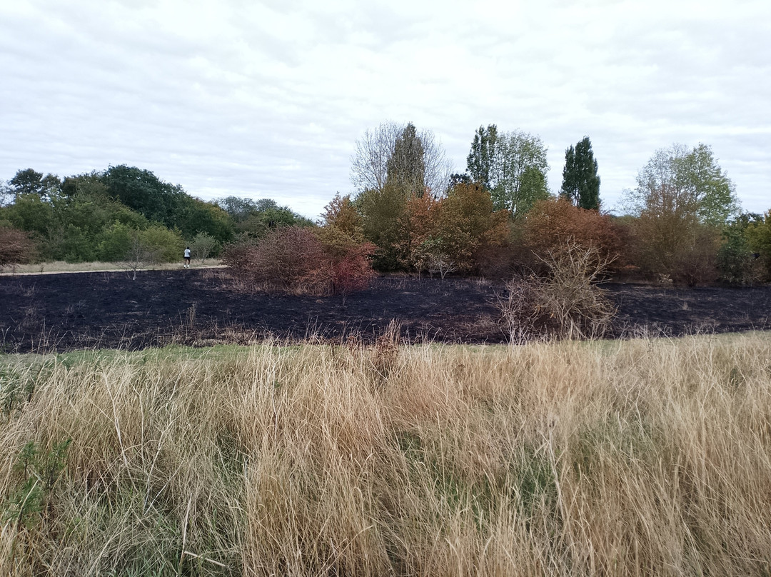 Eastbrookend Country Park