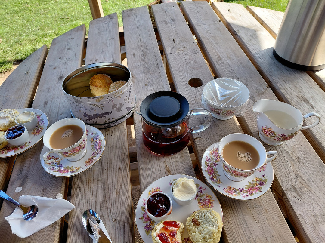 Bell Farm Alpacas-Pensford必去景点