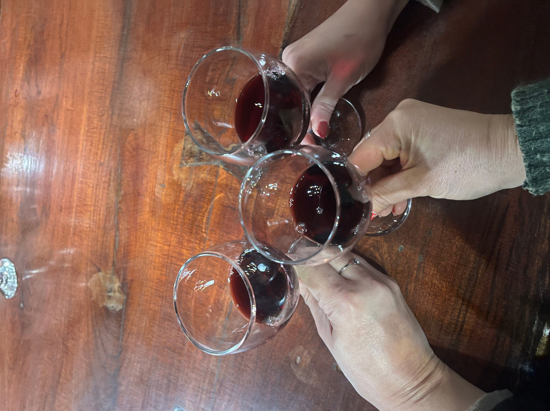Bodega Familia Cecchin-Maipu必去景点