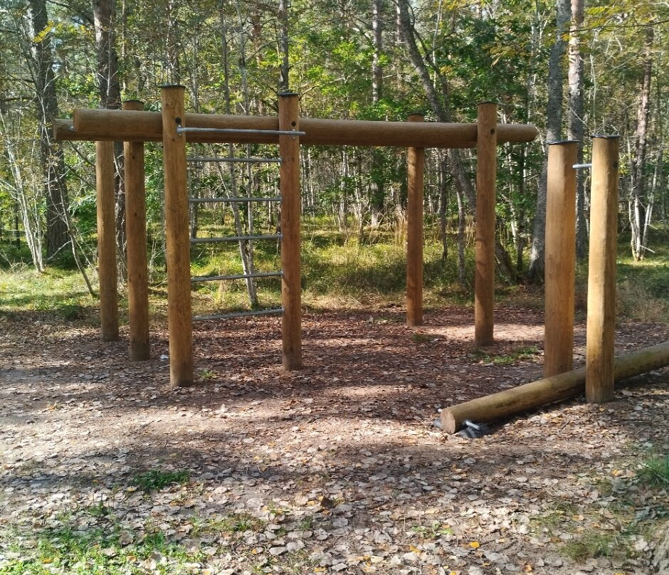 Harku Forest Nature Trail-塔林必去景点