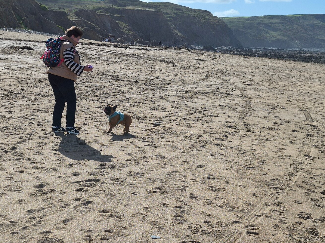 Black Rock Beach-Widemouth Bay必去景点