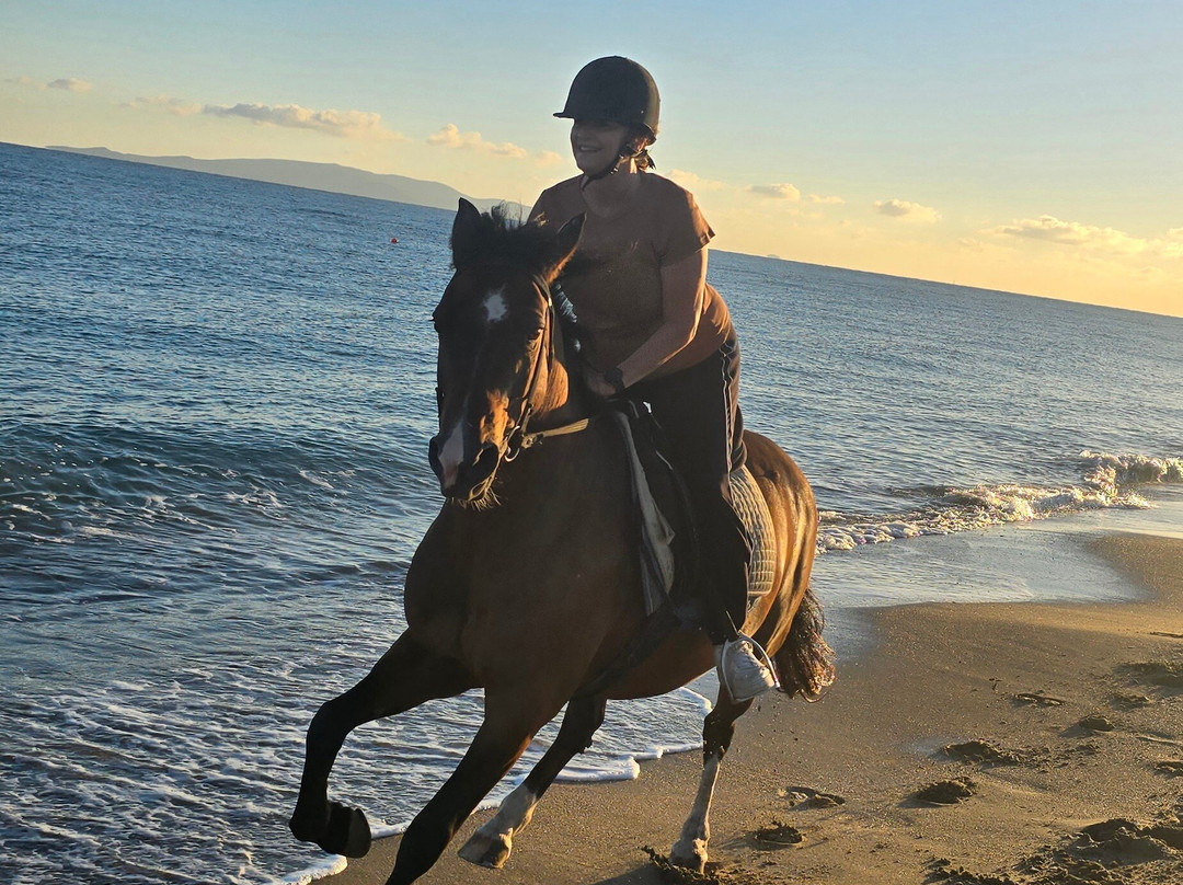 Finikia Horseriding-Finikia必去景点