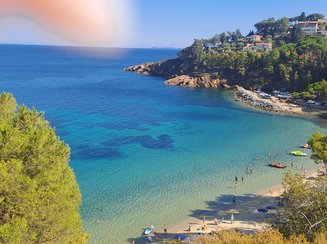 Spiaggia delle Cannelle-Isola del Giglio必去景点