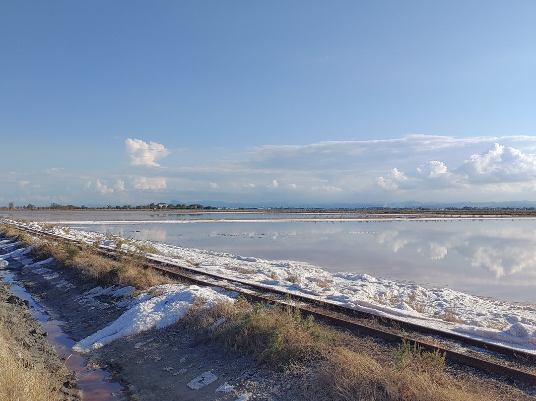 Parco della Salina di Cervia-切尔维亚必去景点