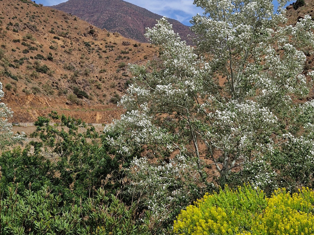 Via Morocco Tours-卡萨布兰卡必去景点