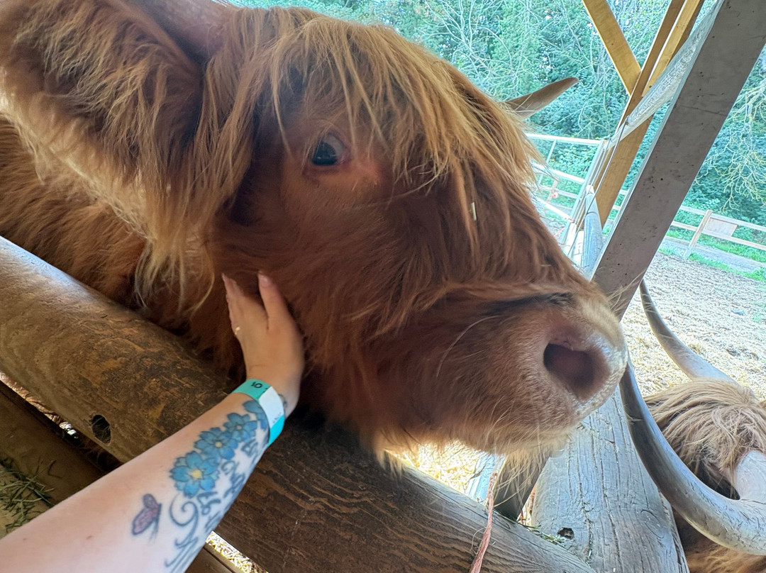Quex Adventure Farm Park-Birchington必去景点