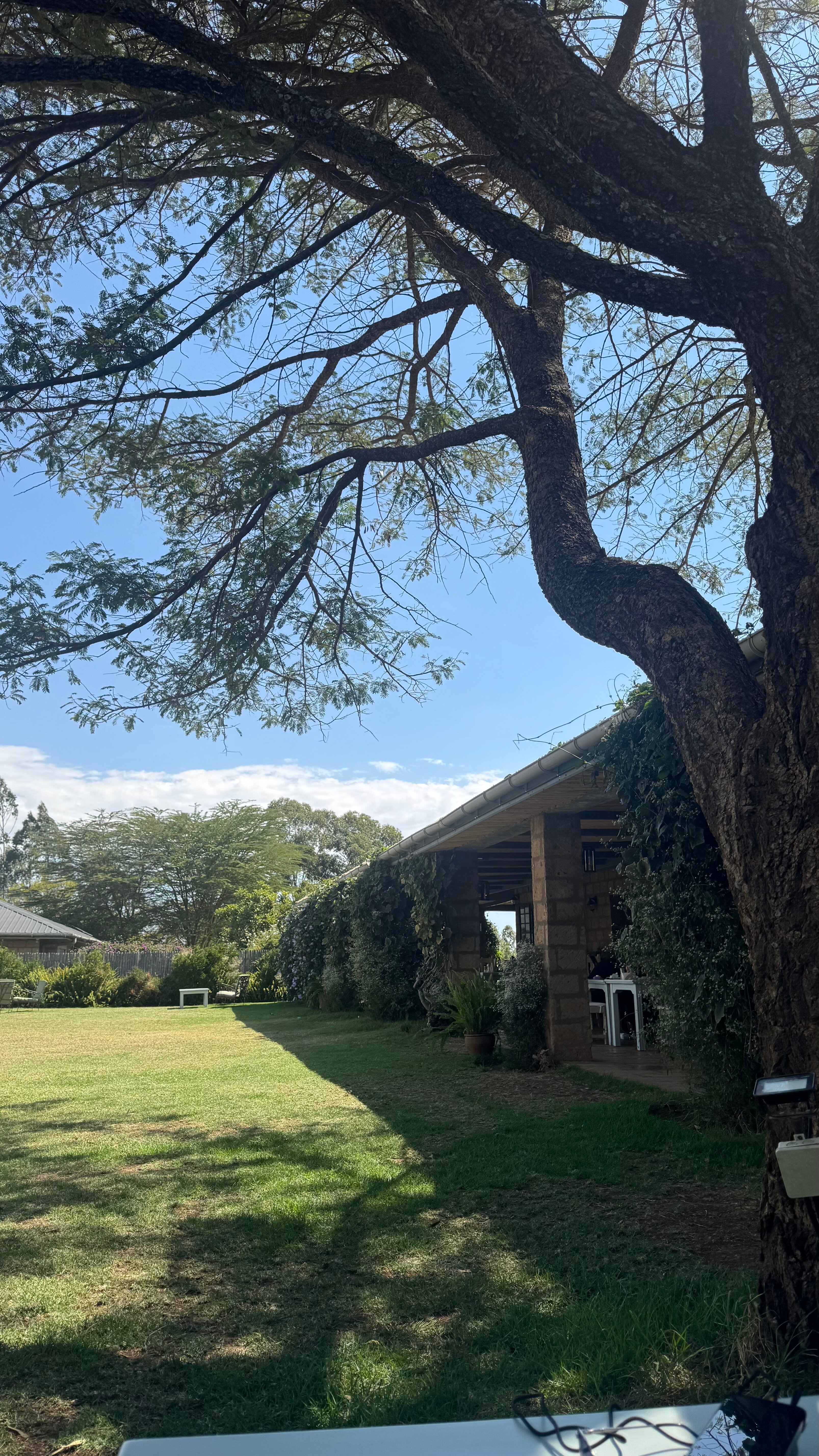 索姆斯酒店和杰克酒吧-旅行者