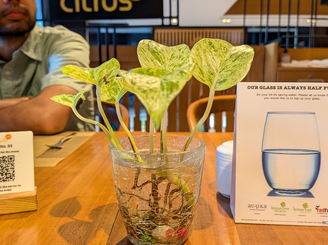 Lemon Tree Premier, Vijayawada主图