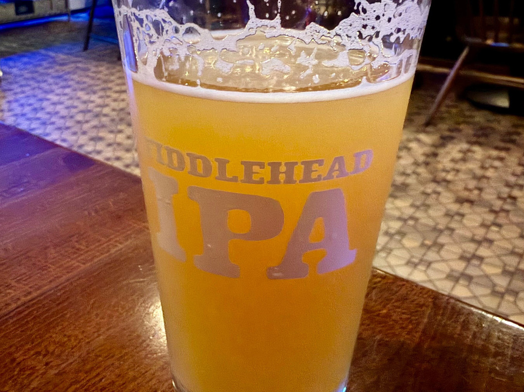 The Harp Irish Pub-艾姆赫斯特必去景点