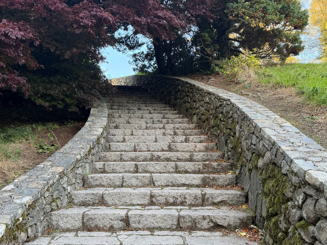 Tollymore Forest Park-纽卡斯尔必去景点