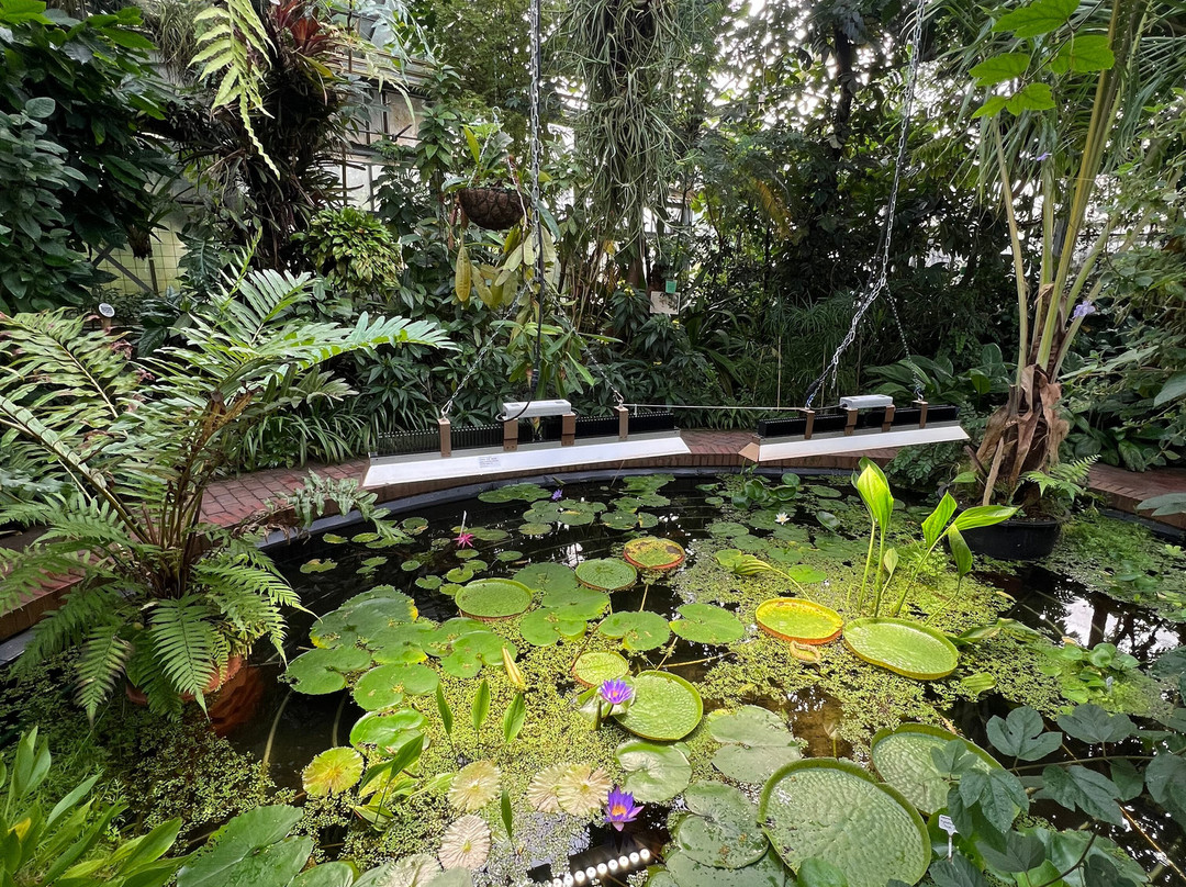 Botanischer Garten-奥尔登堡必去景点