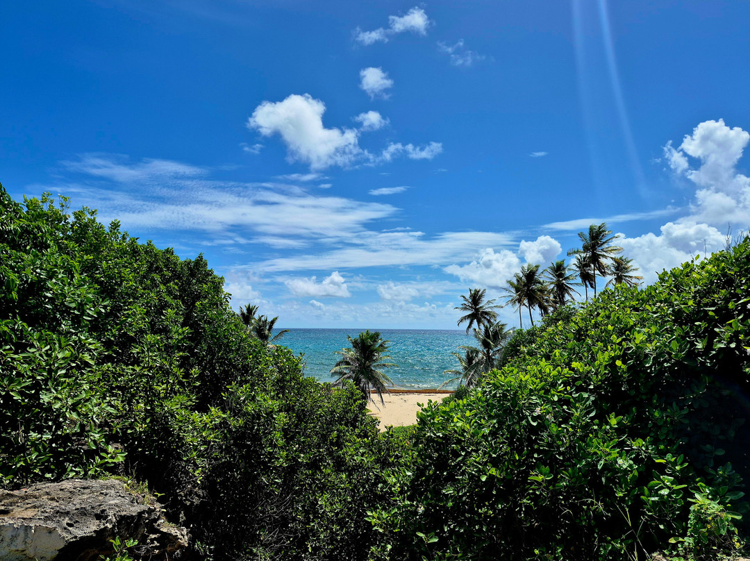 Bottom Bay-Saint Philip Parish必去景点