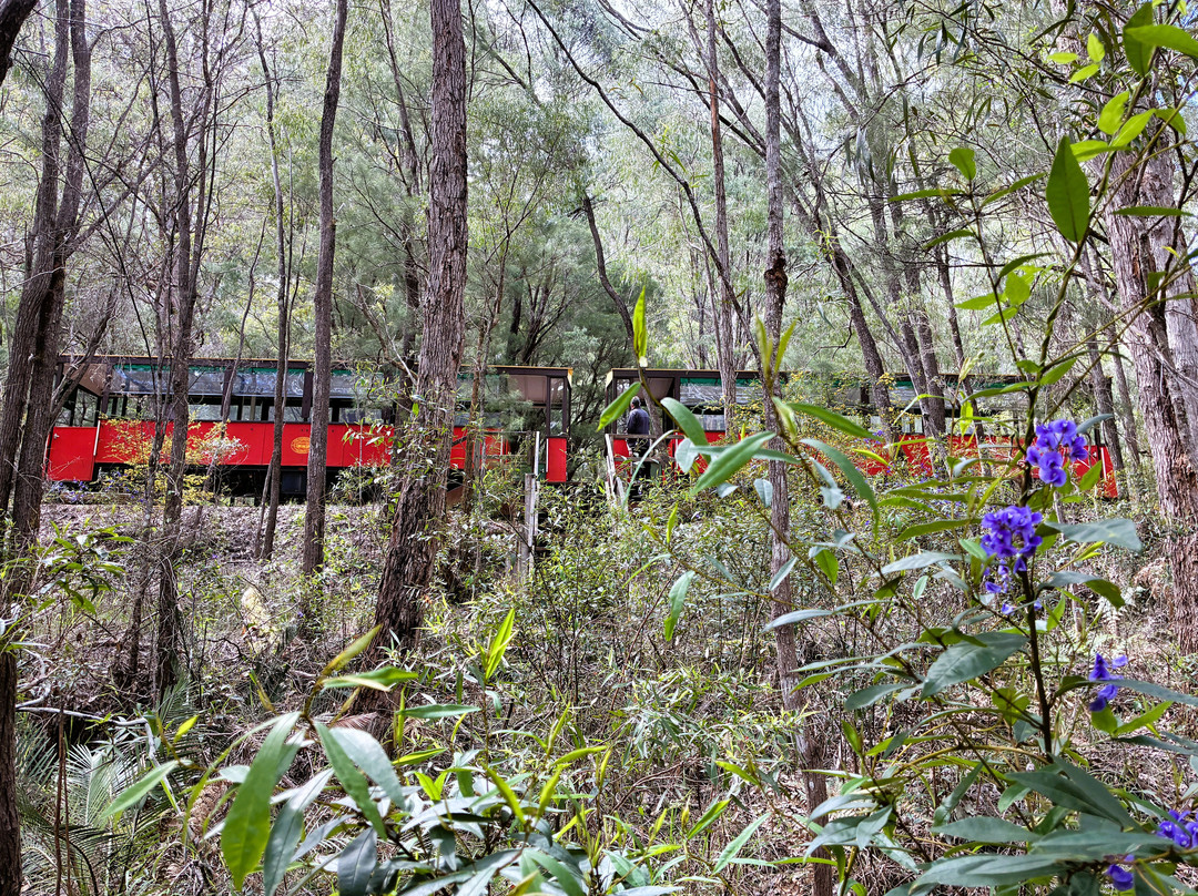 Pemberton Tramway-彭伯顿必去景点