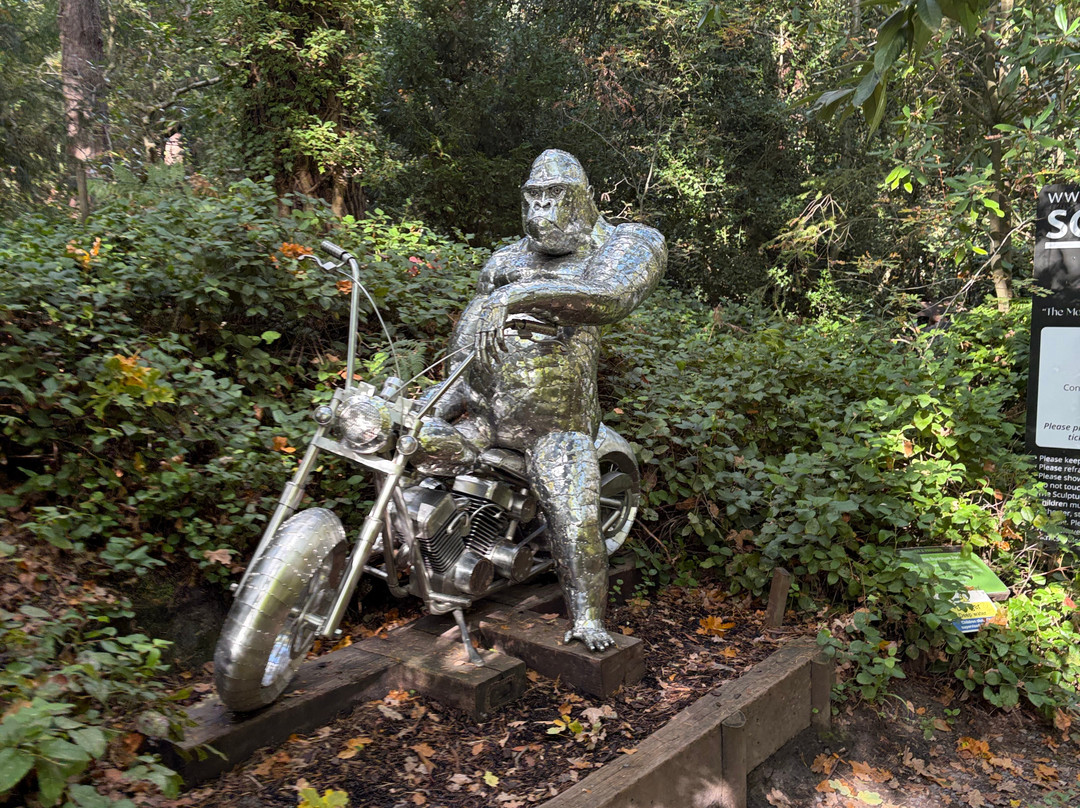 The Sculpture Park-Churt必去景点