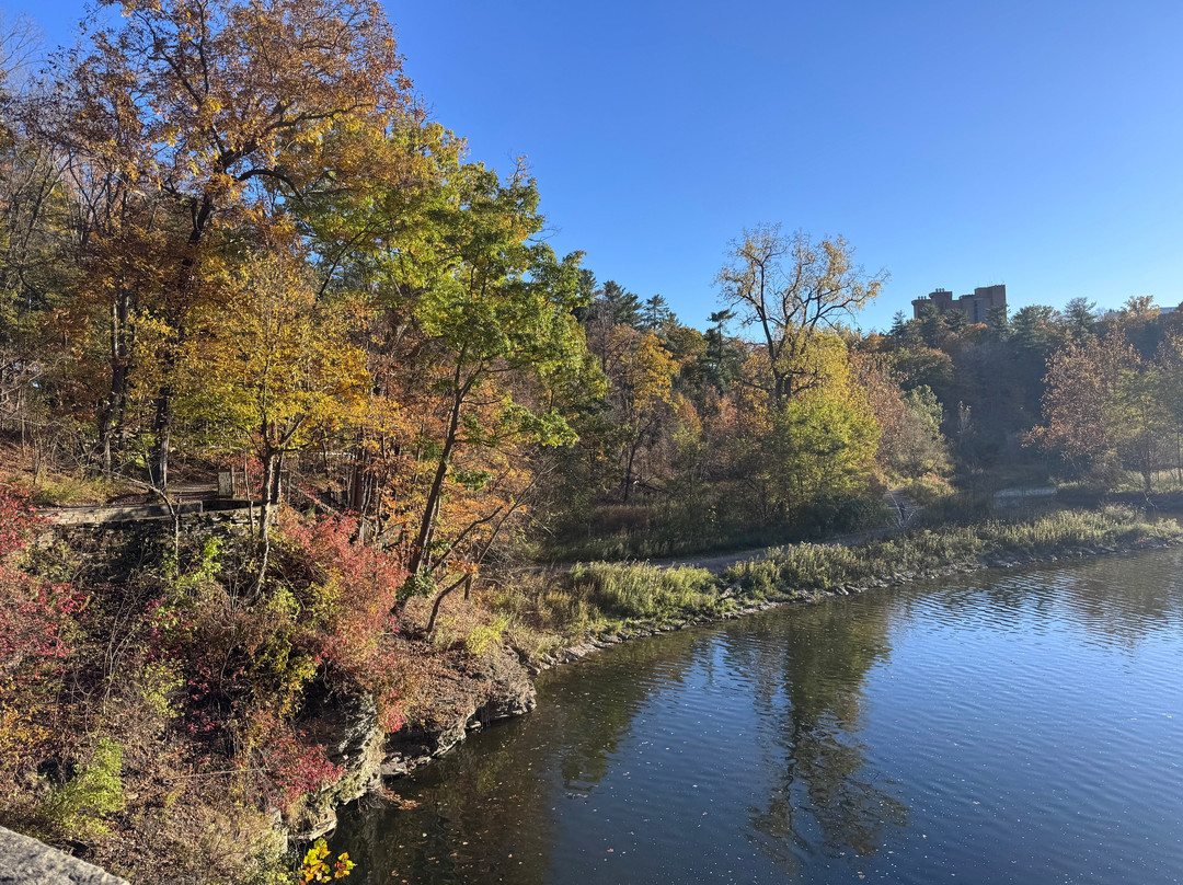 Cornell Botanic Gardens-伊萨卡必去景点