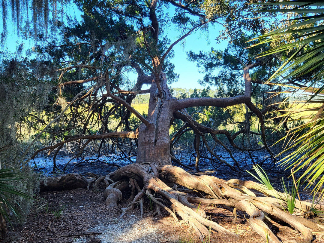 Skidaway Island State Park-萨凡纳必去景点