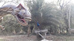 Indroda Nature Park景点图片