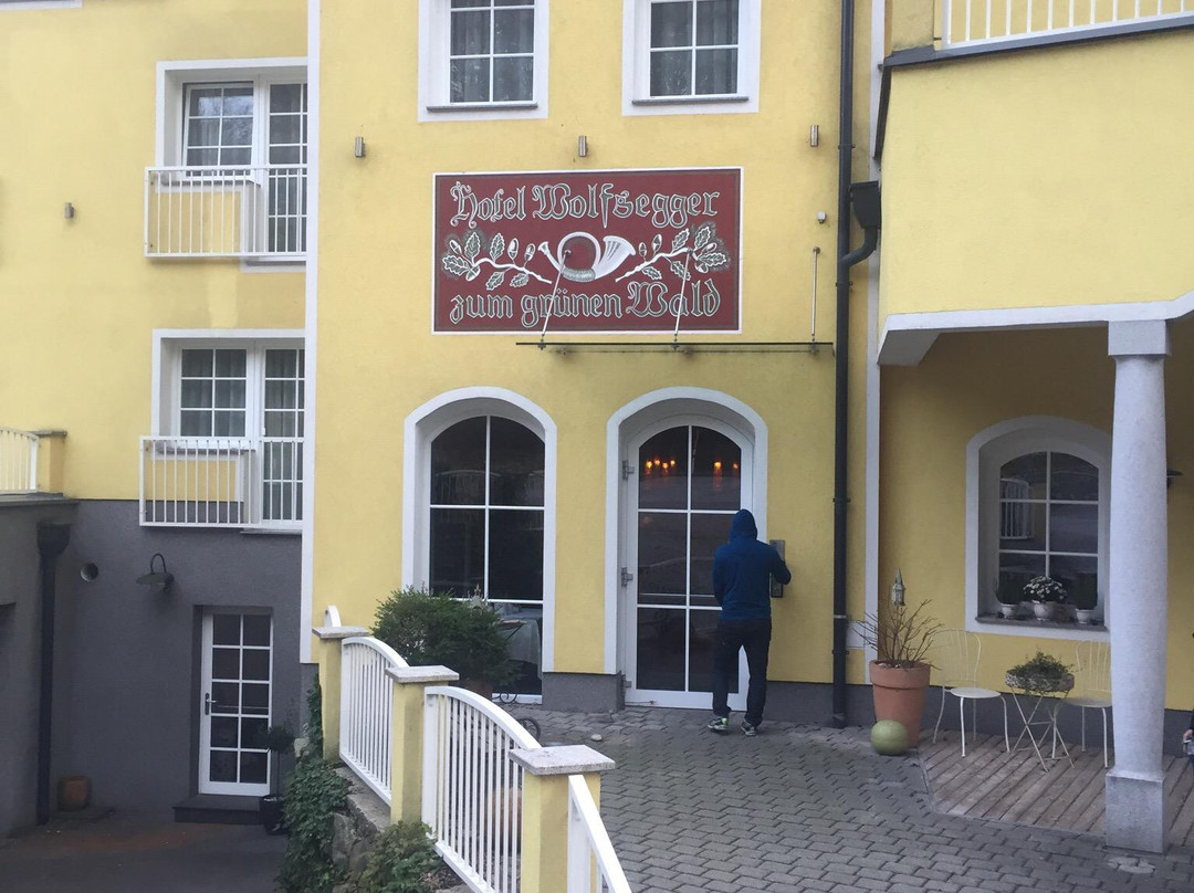 Gasthof Hotel zum Grunen Wald Wolfsegger