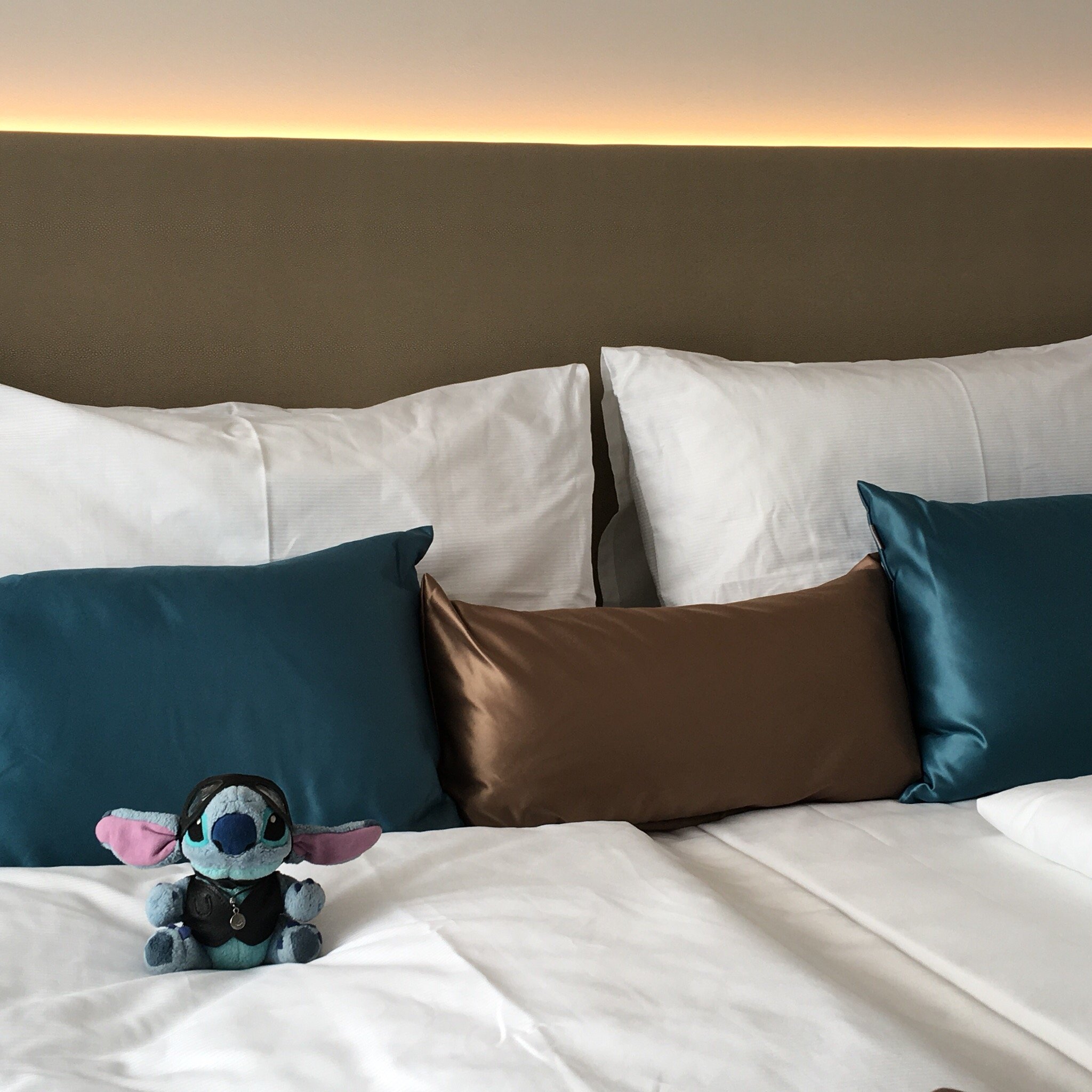Hotel Seven-官方