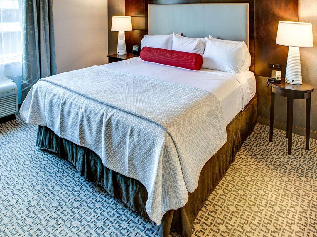 Cambria Hotel White Plains - Downtown主图