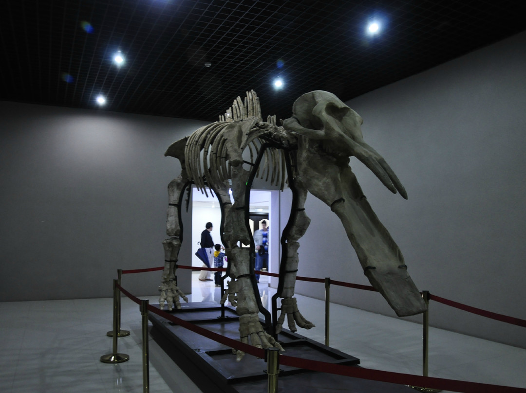 青龙山-郧县必去景点