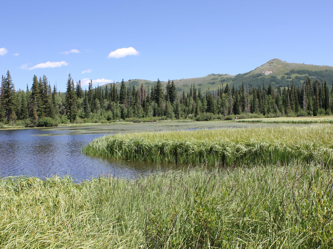 Wasatch-Cache National Forest景点图片