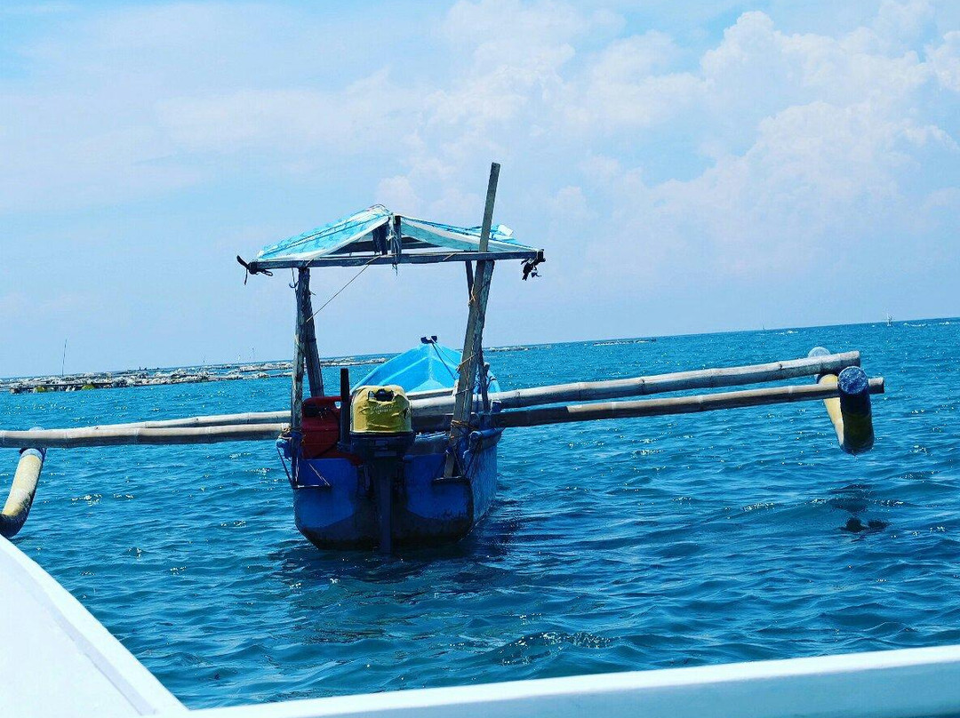 Sarriel Surf Lessons