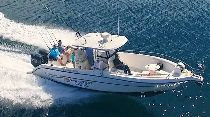 Channel Master Sport Fishing Charter景点图片
